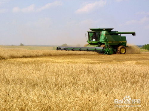 商品谷物農(nóng)業(yè)中的化肥銷售 關(guān)鍵知識與策略總結(jié)